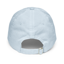 Load image into Gallery viewer, F*ck Alimony Pastel Baseball Hat
