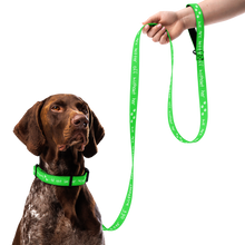 Load image into Gallery viewer, Done With Her Pet Collar &amp; Leash Combo - 5 colors in 3 sizes
