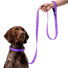 Load image into Gallery viewer, Done With Her Pet Collar &amp; Leash Combo - 5 colors in 3 sizes
