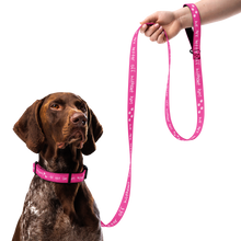 Load image into Gallery viewer, Done With Him Pet Collar &amp; Leash - 5 colors in 3 sizes
