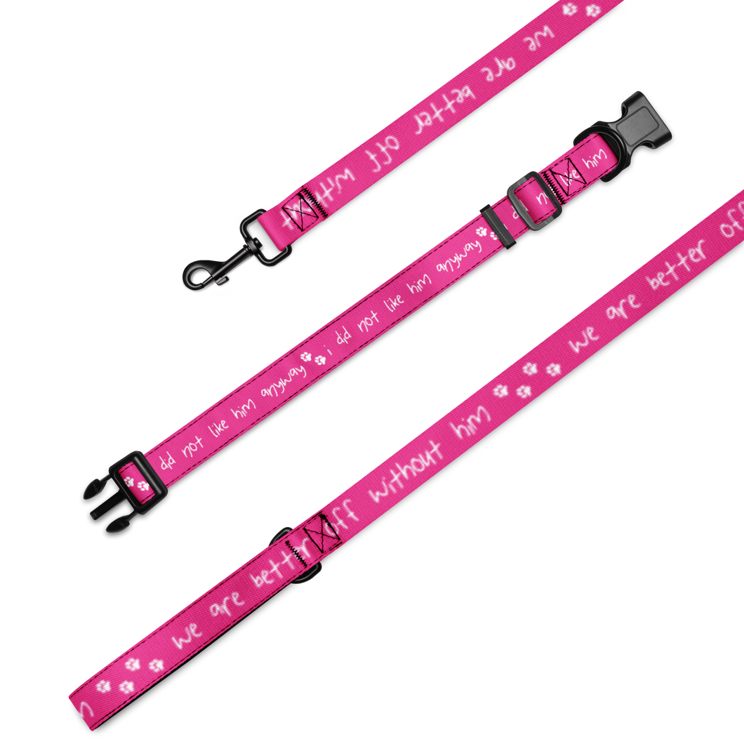 Done With Him Pet Collar & Leash - 5 colors in 3 sizes