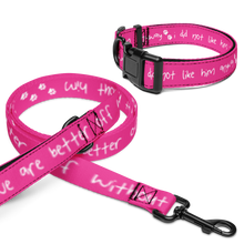 Load image into Gallery viewer, Done With Him Pet Collar &amp; Leash - 5 colors in 3 sizes
