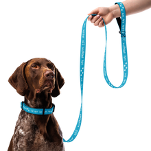 Load image into Gallery viewer, Done With Him Pet Collar &amp; Leash - 5 colors in 3 sizes
