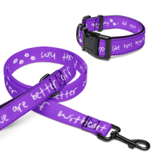 Load image into Gallery viewer, Done With Him Pet Collar &amp; Leash - 5 colors in 3 sizes
