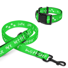 Load image into Gallery viewer, Done With Him Pet Collar &amp; Leash - 5 colors in 3 sizes
